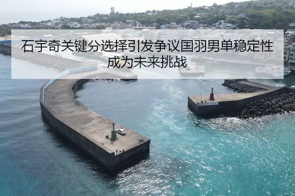 shi-yu-qi-guan-jian-fen-xuan-ze-yin-fa-zheng-yi-guo-yu-nan-dan-wen-ding-xing-cheng-wei-wei-lai-tiao-zhan-1-388.jpg