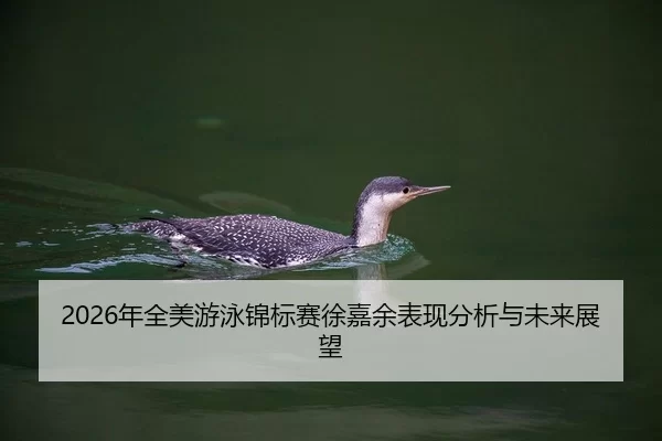 2026年全美游泳锦标赛徐嘉余表现分析与未来展望