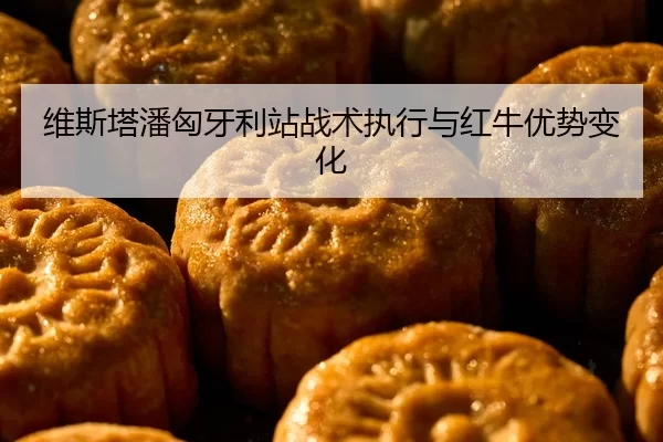 维斯塔潘匈牙利站战术执行与红牛优势变化