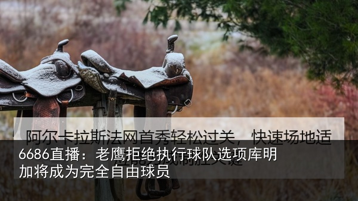 6686直播:老鹰拒绝执行球队选项库明加将成为完全自由球员