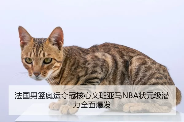 法国男篮奥运夺冠核心文班亚马NBA状元级潜力全面爆发