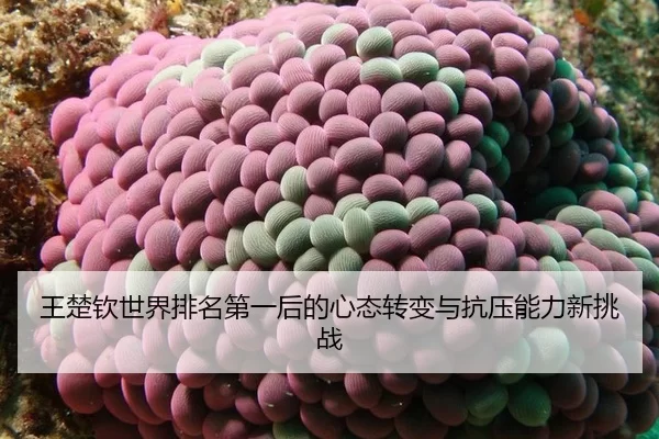 wang-chu-qin-shi-jie-pai-ming-di-yi-hou-de-xin-tai-zhuan-bian-yu-kang-ya-neng-li-xin-tiao-zhan-3-360.jpg