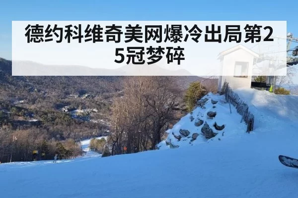 德约科维奇美网爆冷出局第25冠梦碎